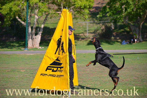 dog training blind for schutzhund